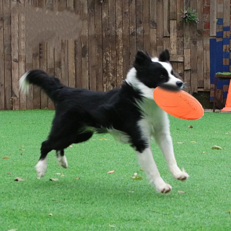 Interactive Dog Flying Disc Silicone Toss Toy for Puppies & Cats