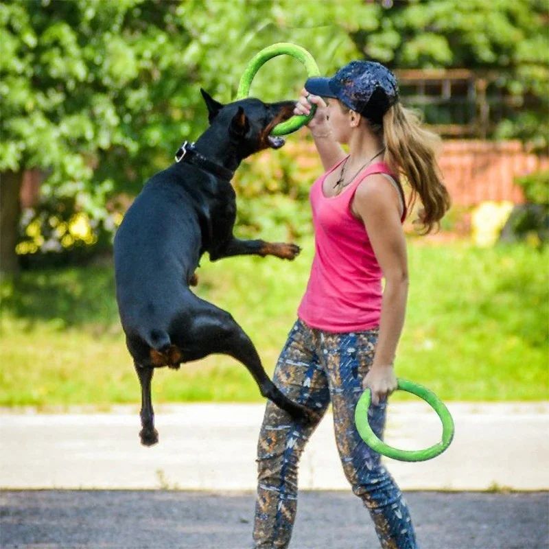 AquaTug EVA Dog Training Ring for Fetch, Tug & Water Play
