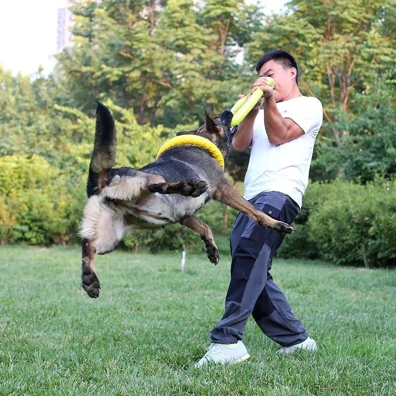AquaTug EVA Dog Training Ring for Fetch, Tug & Water Play