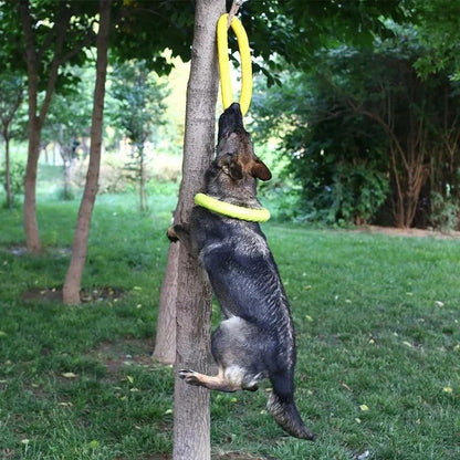 AquaTug EVA Dog Training Ring for Fetch, Tug & Water Play