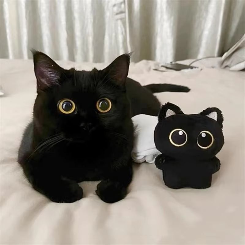 Big Eyed Plush Cat Keychain Cute Black Kitten Bag Charm for Backpacks & Keys