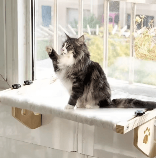 Wooden Frame Cat Window Hammock – Detachable Paw Print Hanging Cat Bed