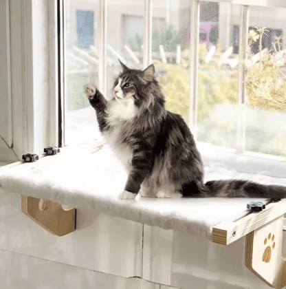 Wooden Frame Cat Window Hammock – Detachable Paw Print Hanging Cat Bed