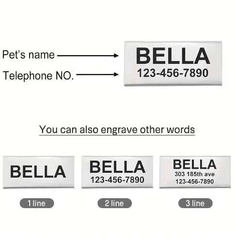 Personalized Cat Collar with Bell Custom Engraved Name Tag Collar for Cats & Kittens