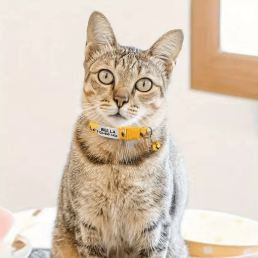 Personalized Cat Collar with Bell Custom Engraved Name Tag Collar for Cats & Kittens