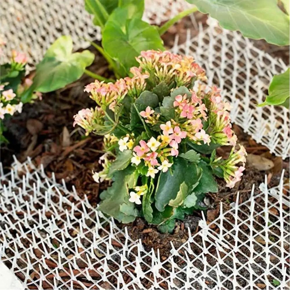 Garden Scat Mat Spike Deterrent – Weatherproof Humane Animal Repellent Strips