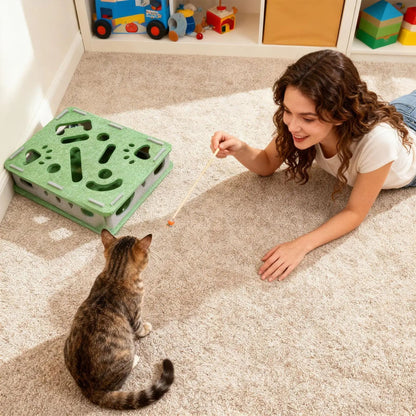 Interactive Cat Scratch Box with Bell Balls