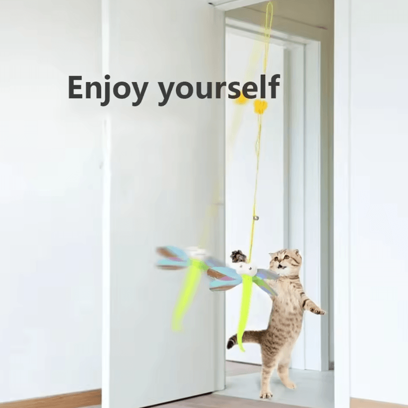 DoorDangler Interactive Hanging Cat Toy with Feather Teaser