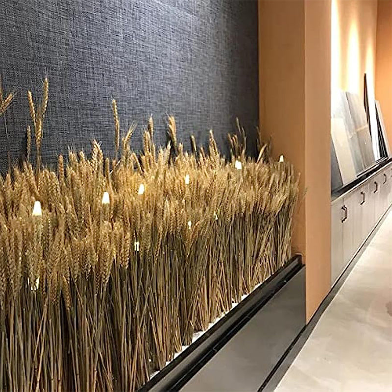 Natural Dried Wheat Stalks Bundle for Boho Farmhouse Decor and Wedding Centerpieces