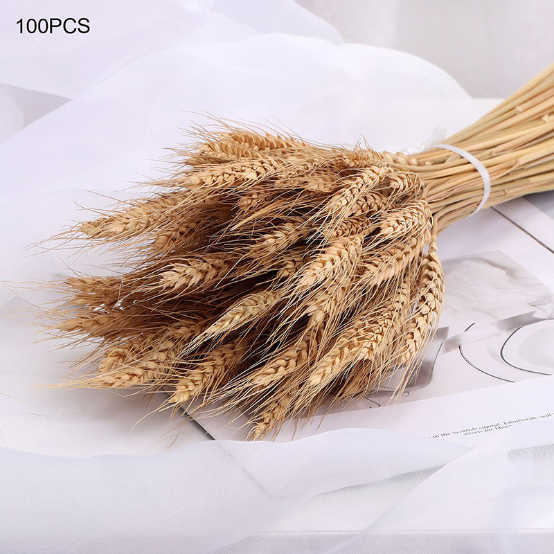 Natural Dried Wheat Stalks Bundle for Boho Farmhouse Decor and Wedding Centerpieces