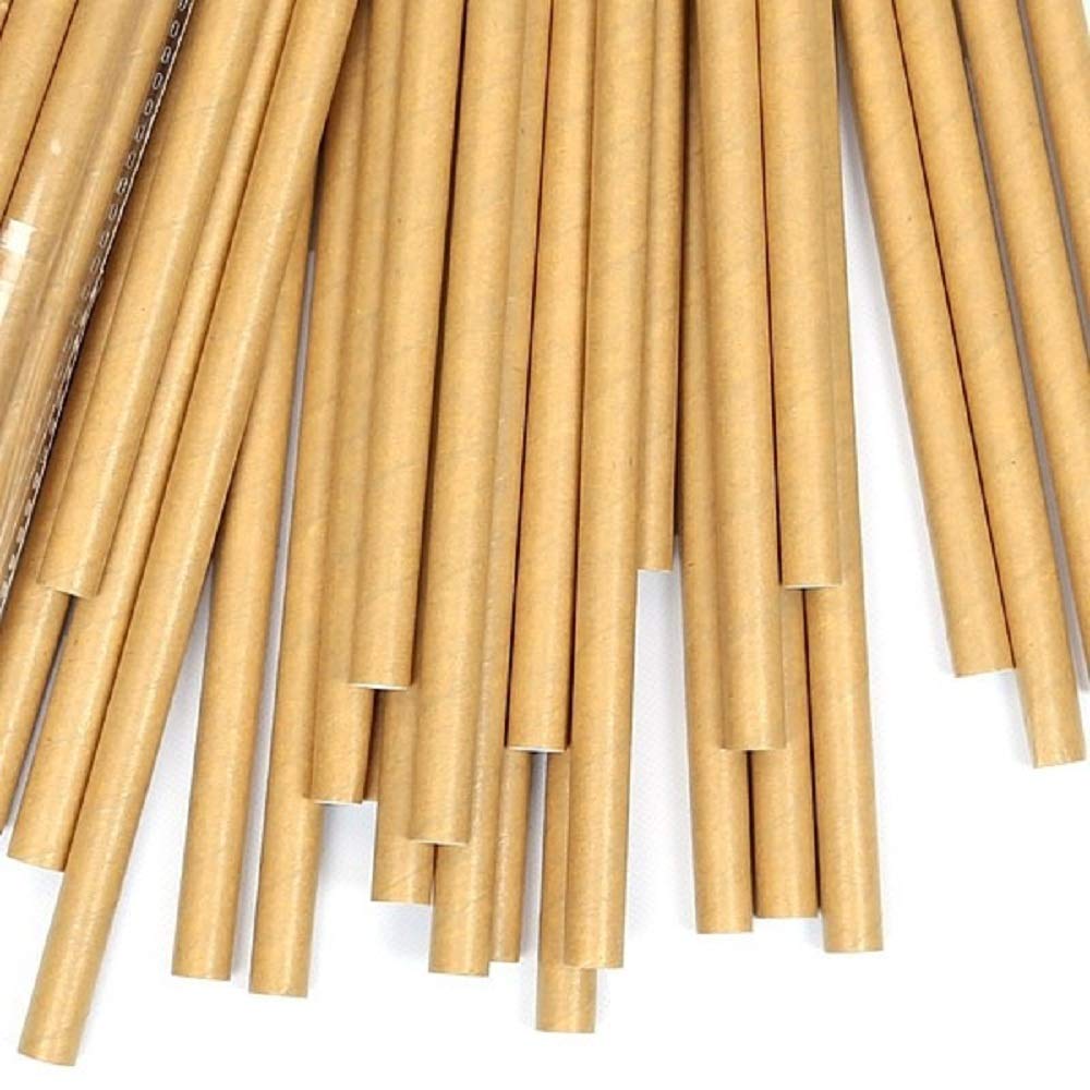 Premium Individually Wrapped Eco Friendly Paper Straws for Juices, Coffee & Partie