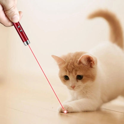 Interactive Laser Pointer Cat Toy for Exercise, Training and Indoor Play