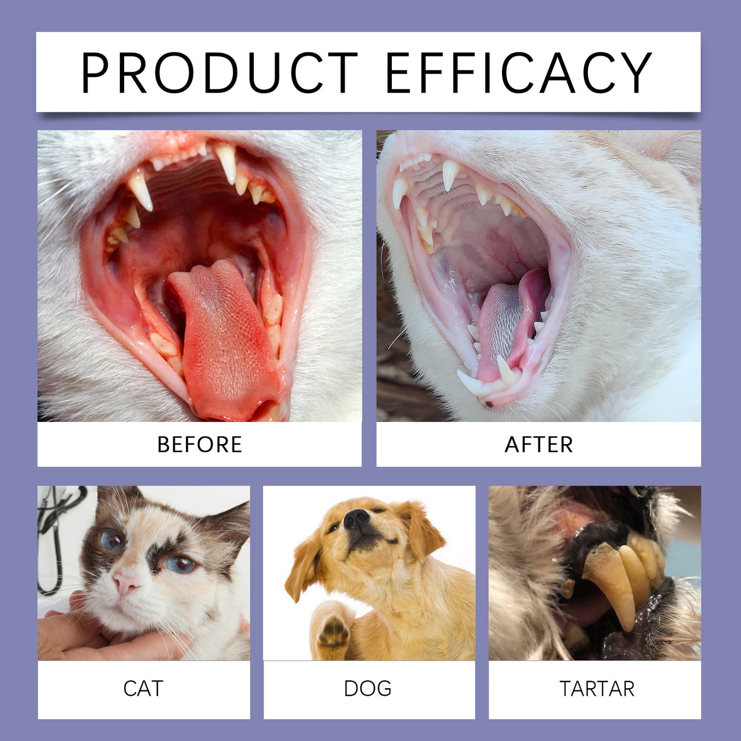 Premium Pet Dental Solution 200ml Dog Cat Water Additive for Plaque & Tartar Control & Fresh Breath