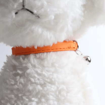 Macaron Bell Adjustable Cat Collar for Cats & Small Pets