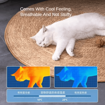 Cat Scratcher Rattan Furniture Protector Mat