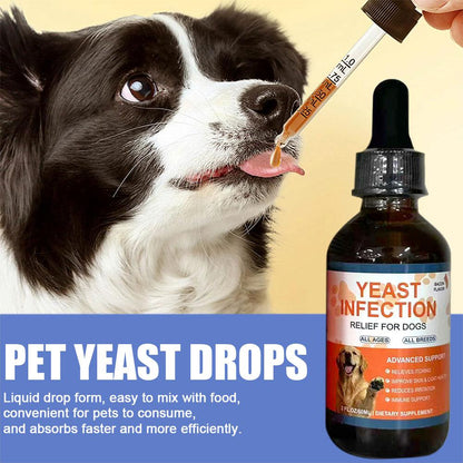 Premium 60ml Pet Yeast Drops Gut Health Supplement for Dogs & Cats with Advanced Digestive Support