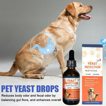Premium 60ml Pet Yeast Drops Gut Health Supplement for Dogs & Cats with Advanced Digestive Support
