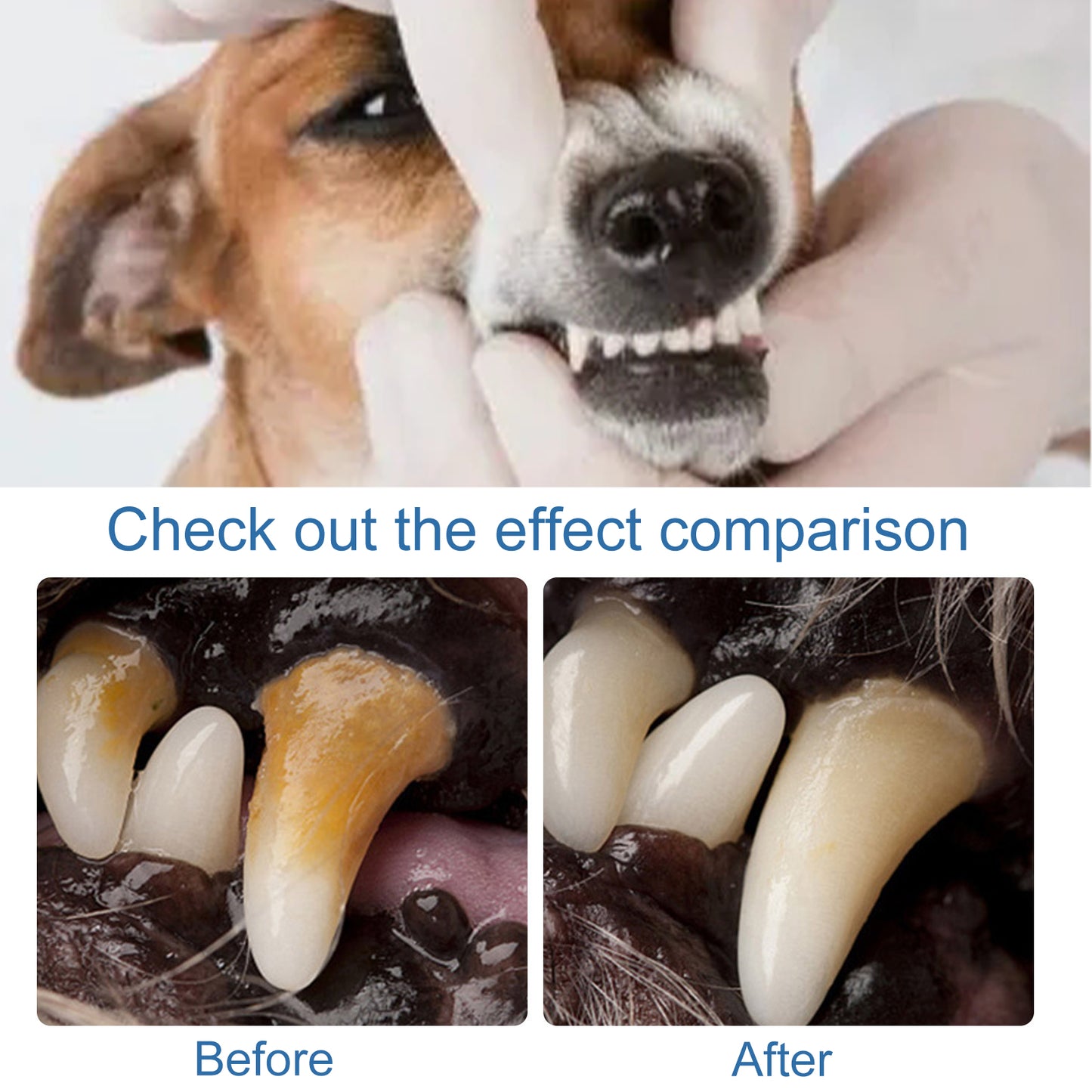 Pet Dental Spray & Foam Cleaner for Cleaner Teeth, Fresher Breath & Tartar Control