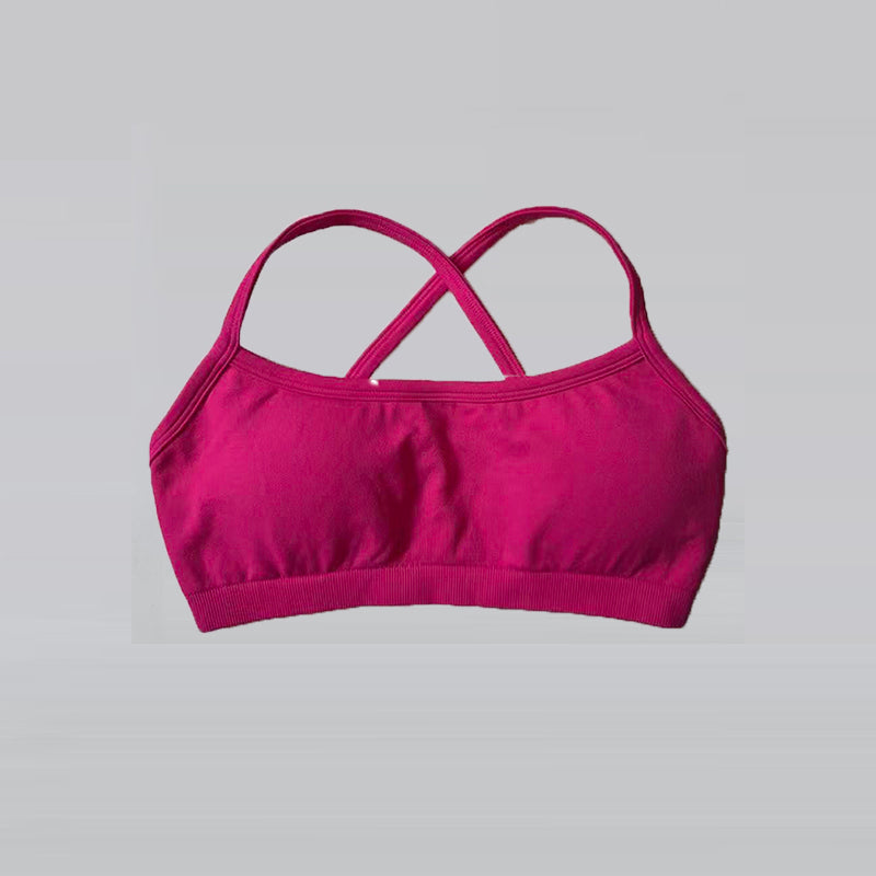 Seamless Shockproof Sports Bra Yoga Crop Top for Women