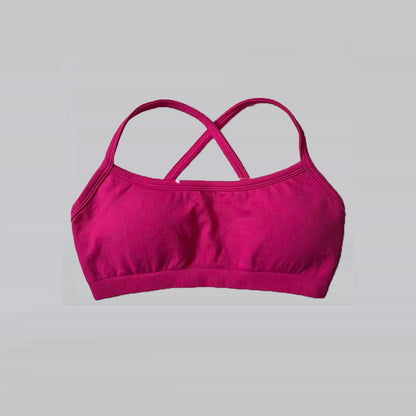 Seamless Shockproof Sports Bra Yoga Crop Top for Women