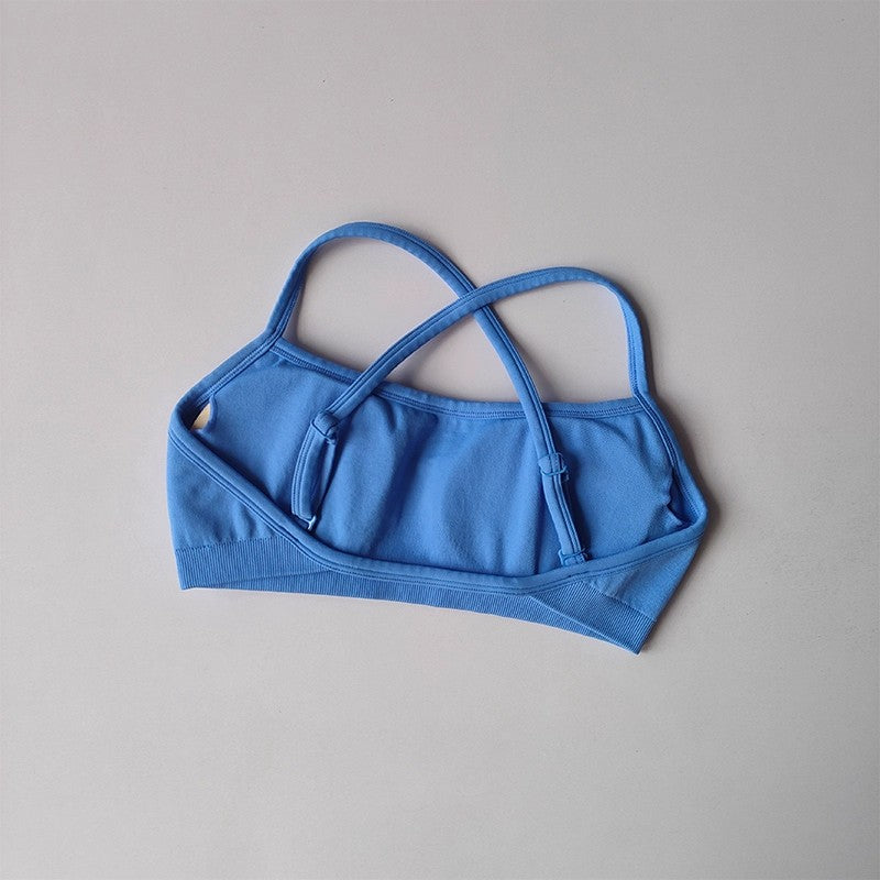 Seamless Shockproof Sports Bra Yoga Crop Top for Women
