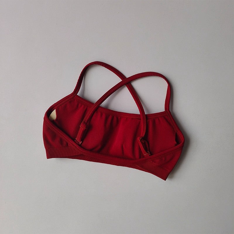 Seamless Shockproof Sports Bra Yoga Crop Top for Women