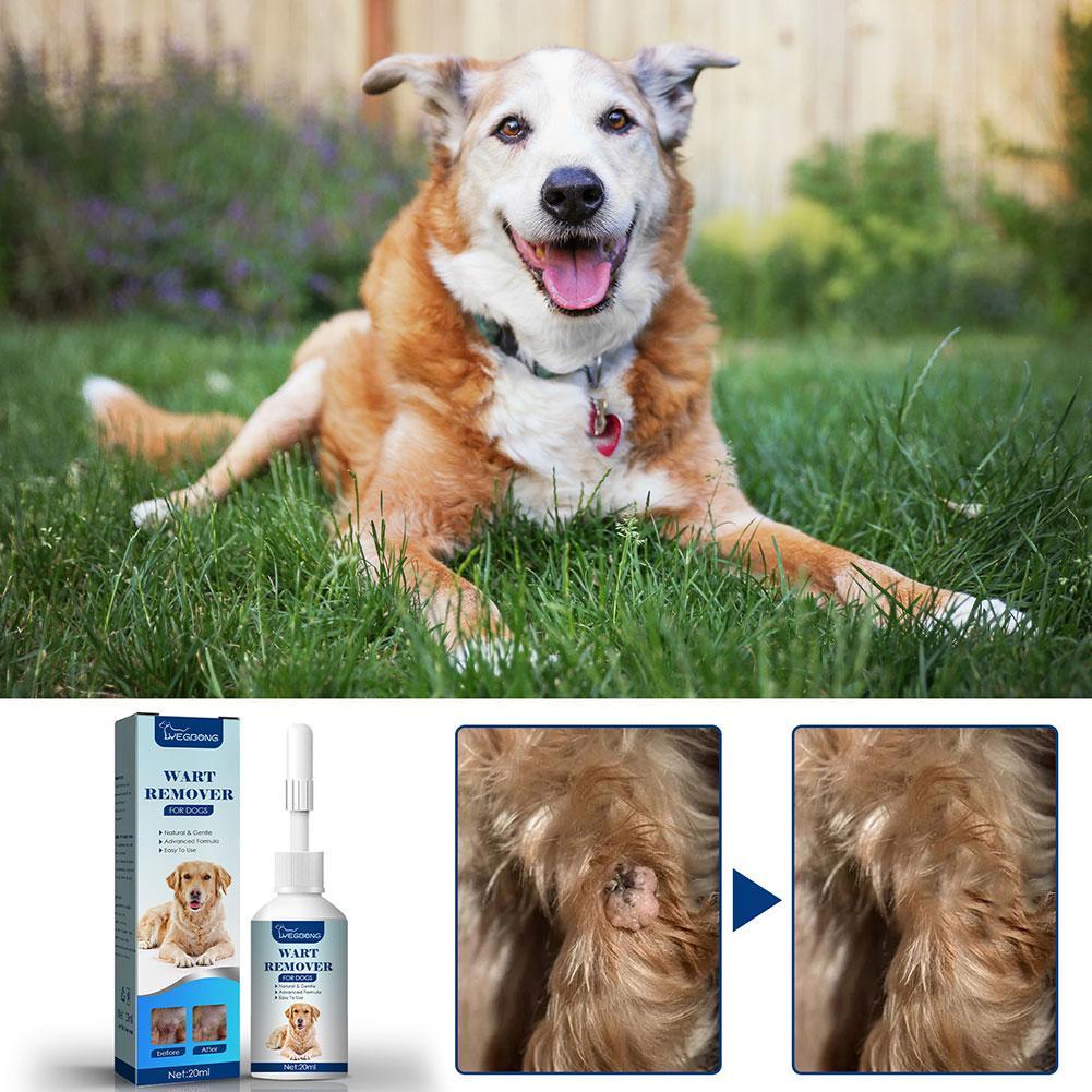 Gentle Wart & Skin Tag Remover Liquid Pet Wart Remover for Dogs & Cats Painless Skin Tag Treatment