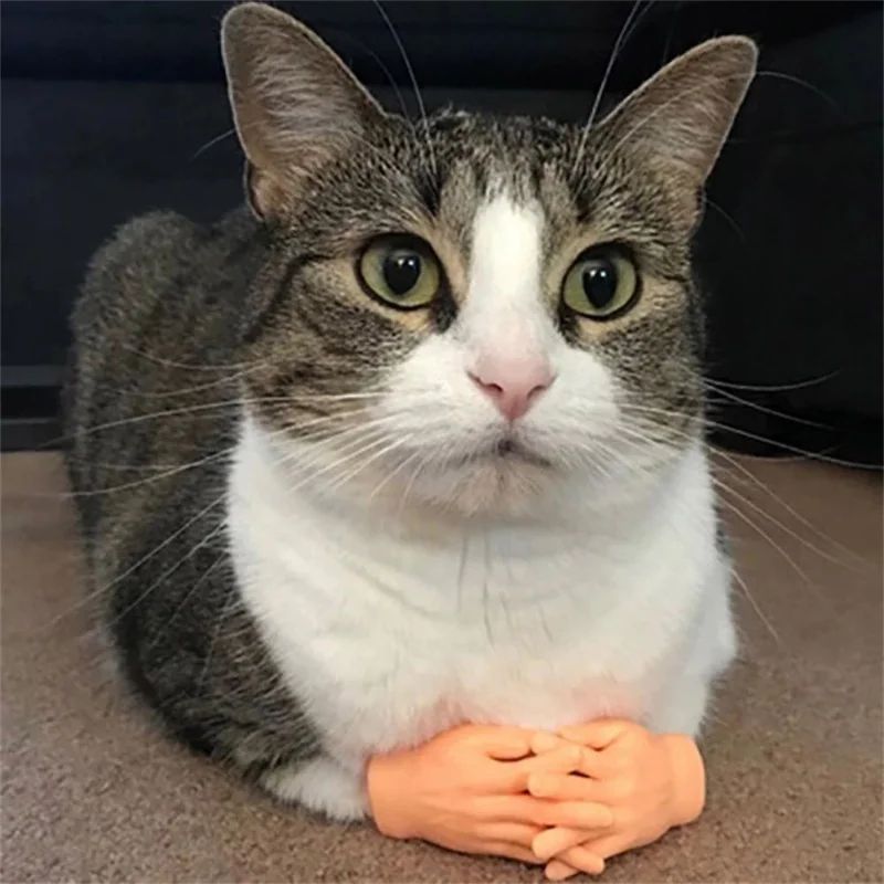 Tiny Hands for Cats Silicone Finger Puppet Massage Toy