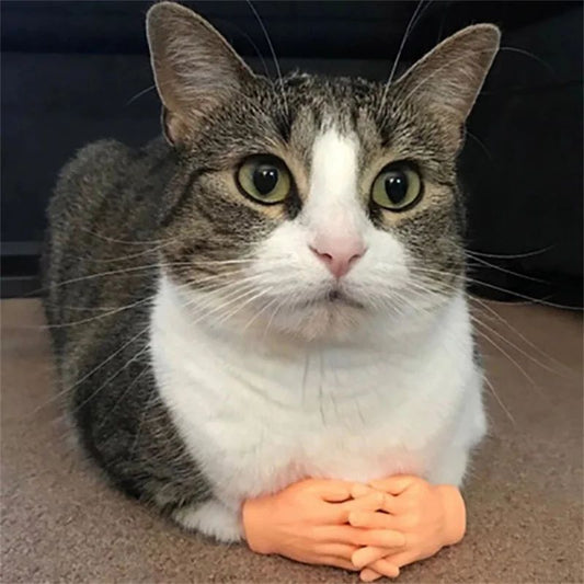 Tiny Hands for Cats Silicone Finger Puppet Massage Toy