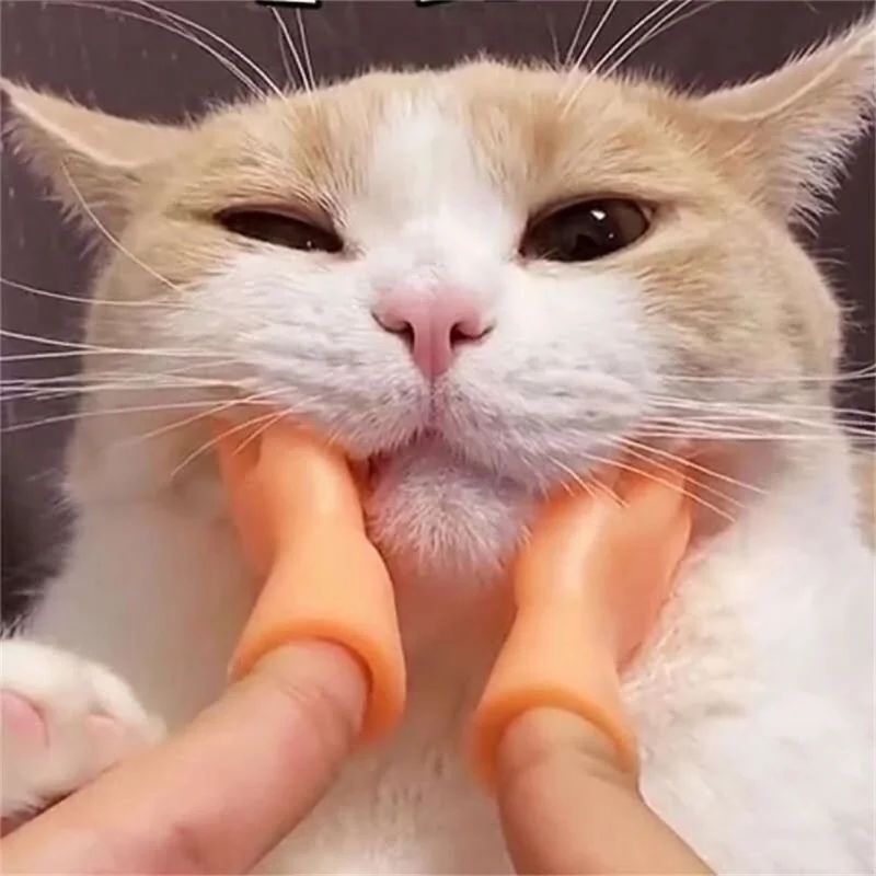 Tiny Hands for Cats Silicone Finger Puppet Massage Toy