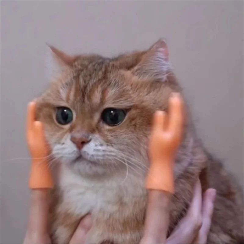Tiny Hands for Cats Silicone Finger Puppet Massage Toy