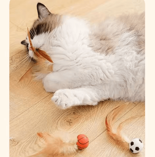 Feather Bounce Interactive Cat Balls for Indoor Play & Training