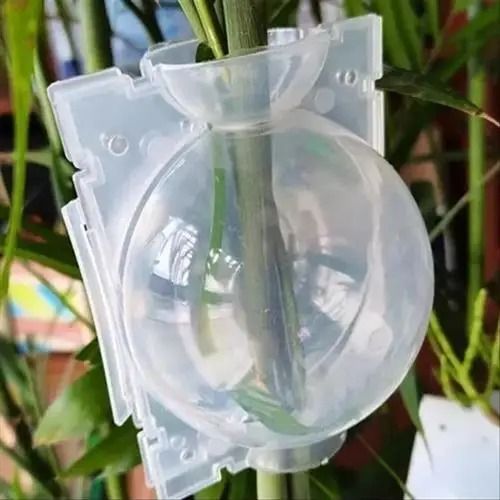 High-Pressure Plant Rooting Ball Propagation Pods (10-Piece Set)