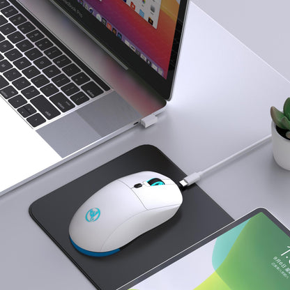 HXSJ T20 Rechargeable Wireless Mouse with Adjustable DPI Ergonomic 2.4GHz USB Mouse