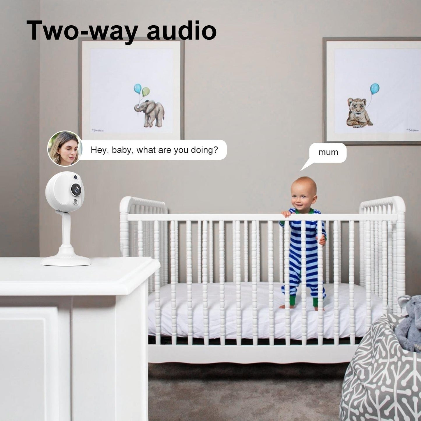 S20 Smart WiFi Security Camera with HD Two Way Audio Night Vision Motion Detection