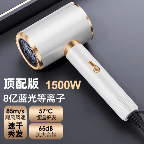 Professional 1500W Negative Ion Hair Dryer – Hot & Cold Wind Salon Blow Dryer