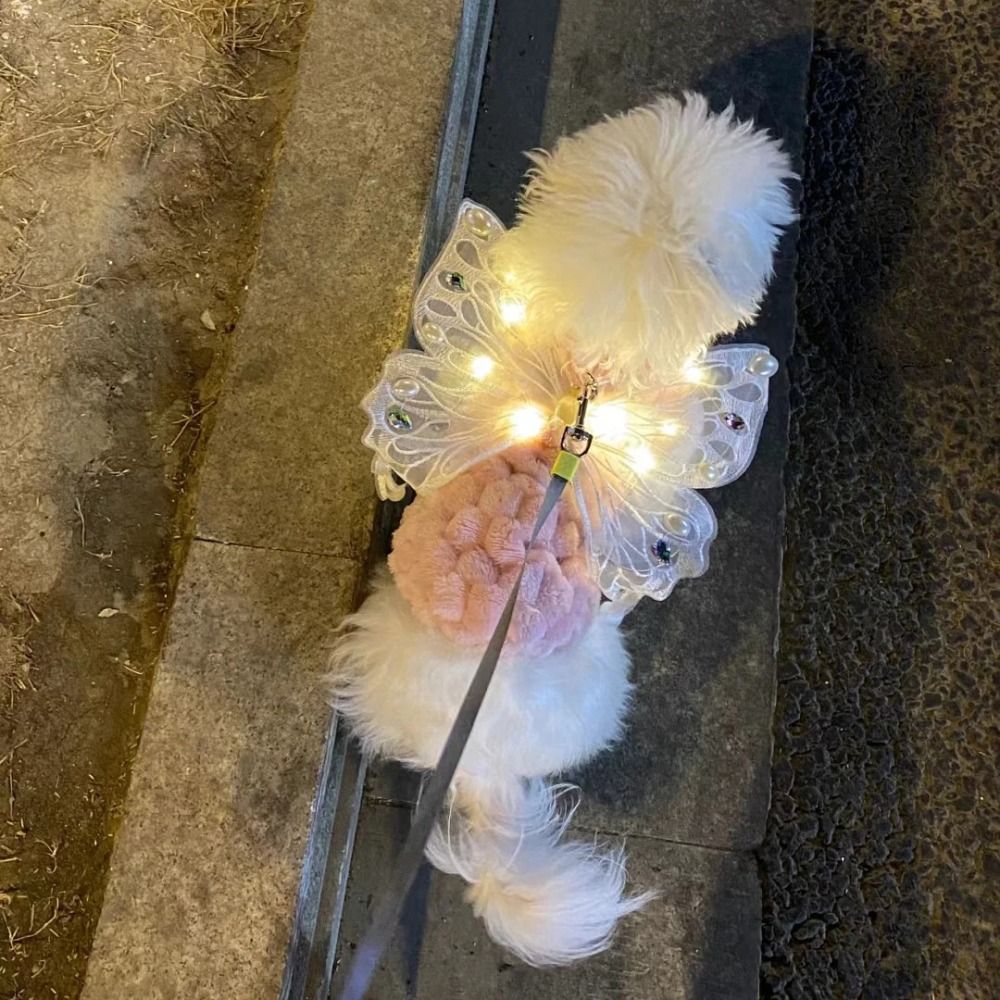 Glowing Dog Butterfly Wings Adjustable Pet Costume Wings for Small & Medium Dogs